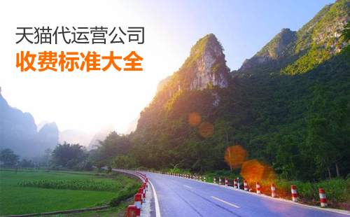 天猫代运营公司的收费标准大全